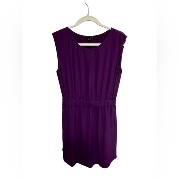 Theory Dress Womens Small Lydan Mini Empire Waist Sleeveless Scoop Neck Purple - Picture 1 of 13
